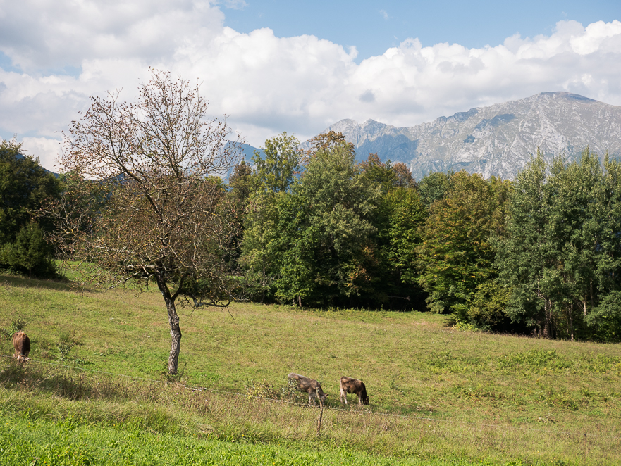 Schotterpfad am Gipfelbereich